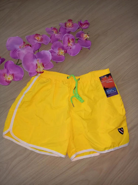 Picture of 13749- GRACEFUL SURFING BOYS SWIMWEAR -SHORTS